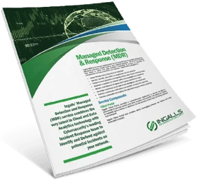 Cybersecurity Insurance Flyer